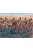 Italeri - Napoleonic Wars - British Light Cavalry 1815