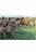 Italeri - SCOTTISH INFANTRY