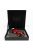 Ixo-Models - FERRARI F1  412T2 SCUDERIA FERRARI SPA N 0 TEST FIORANO 1995 MICHAEL SCHUMACHER RED