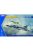KINETIC - South American Mirage III/V