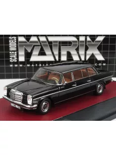 Matrix Scale Models - MERCEDES BENZ V114 POLLMANN 1969 BLACK