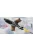 Modelcollect - German WWII aircraft weapon set, X-4 *10 and SC1000 *4