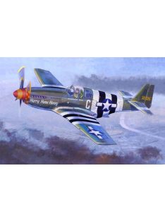 Mistercraft - P-51 B-5 Hurry Home Honey