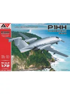 Modelsvit - P.1HH Hammerhead Demo UAV Demonstrator