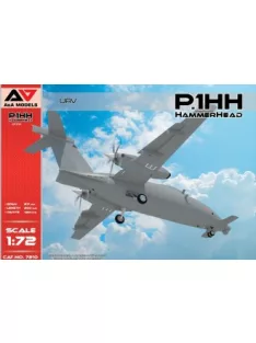 Modelsvit - P1.HH HammerHead UAV (experimental)