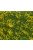Noch - Groundcover Foliage Meadow Yellow (12 X 18 Cm, 70 G)