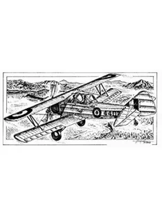 Planet Models - Fleet 16 Finch