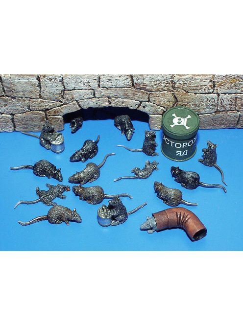Plus Model - Ratten