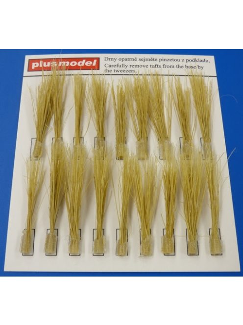 Plus Model - Tufts of reeds-dry