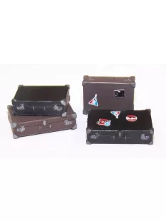 Plus Model - Suitcases