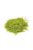Humbrol - Skale Scenics Static Grass - Mixed Summer, 2.5mm