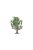 Humbrol - Skale Scenics Oak Tree