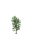 Humbrol - Skale Scenics Horse Chestnut Tree