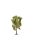 Humbrol - Skale Scenics Rowan Tree (with Berries) 11,5 cm