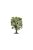 Humbrol - Skale Scenics Oak Tree 16 cm