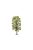 Humbrol - Skale Scenics Lime Tree 18,5 cm