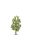 Humbrol - Skale Scenics Lime Tree 18,5 cm