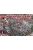 Red Box - Swiss Infantry (Sword/Arqebus) 16th cent