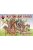 Red Box - Scottish light cavalry,War o.the Roses12