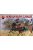 Red Box - Korean Heavy Cavalry,16-17Th Centuryset1