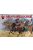 Red Box - Korean Guerrillas Cavalry,16-17Th Centur