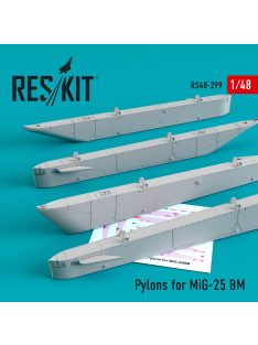 Reskit - Pylons for MiG-25 BM (1/48)