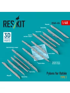 Reskit - Pylons for Rafale type 1 (3D Printed)