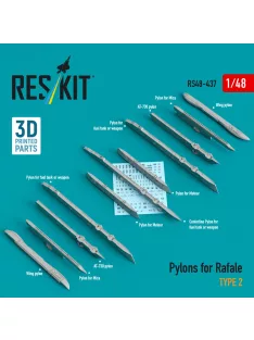 Reskit - Pylons for Rafale type 2 (3D Printed)