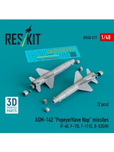   Reskit - AGM-142 Popeye/Have Nap missiles (2 pcs) (F-4E, F-15I, F-111C, B-52G/H) (3D Printed)