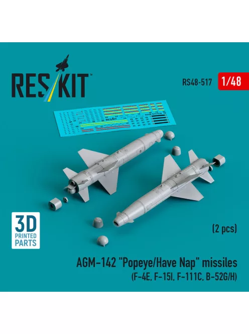 Reskit - AGM-142 Popeye/Have Nap missiles (2 pcs) (F-4E, F-15I, F-111C, B-52G/H) (3D Printed)