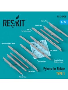 Reskit - Pylons for Rafale type 1 (1/72)