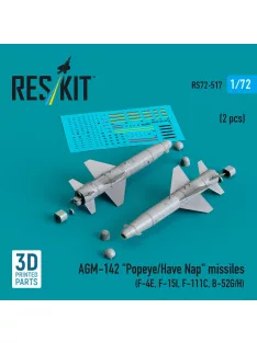   Reskit - AGM-142 Popeye/Have Nap missiles (2 pcs) (F-4E F-15I F-111C B-52G/H) (3D Printed)
