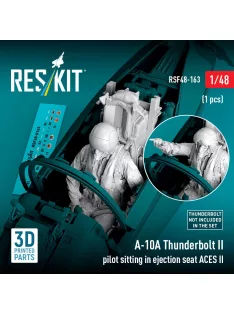   Reskit - A-10A Thunderbolt II pilot sitting in ejection seat ACES II (1 pcs) (3D Printed)