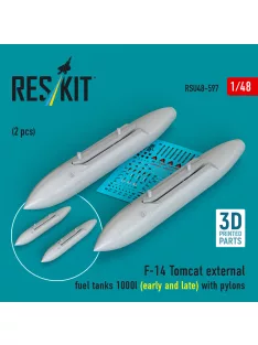   Reskit - F-14 Tomcat external fuel tanks 1000l (early and late) with pylons (2 pcs) (3D Printed)