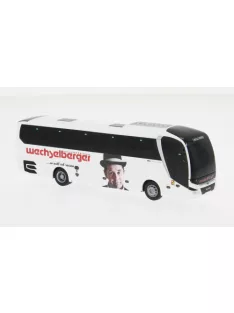 Rietze - MAN Lions Coach 2017 Wechselberger Touristik (AT)