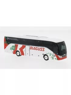 Rietze - Setra S 515 HD, Blaguss (A), 1:87