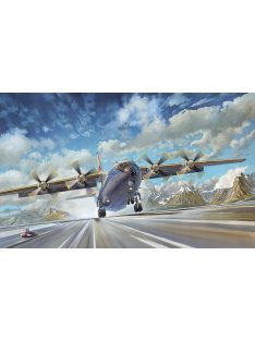 Roden - AN-12BK Civil