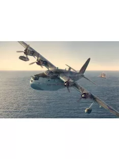 Roden - Short S.25 Sunderland Mark III/V