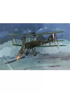 Roden - RAF Be12b