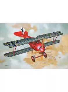 Roden - Siemens Shuckert D.II