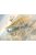 Roden - Sopwith 11/2 Strutter