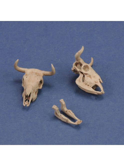 Royal Model - Cow skulls