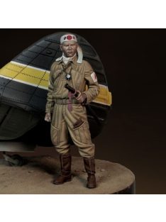 Royal Model - Japanese pilot WWII