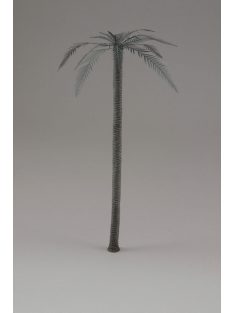 Royal Model - Palm