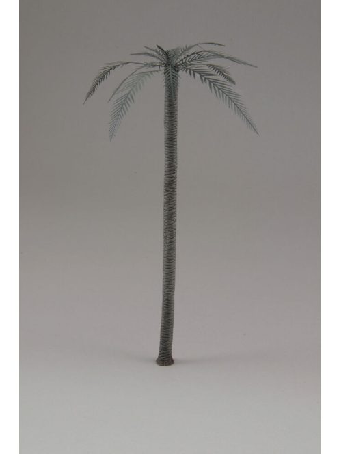 Royal Model - Palm