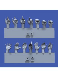 Royal Model - Assorted hands set No.1