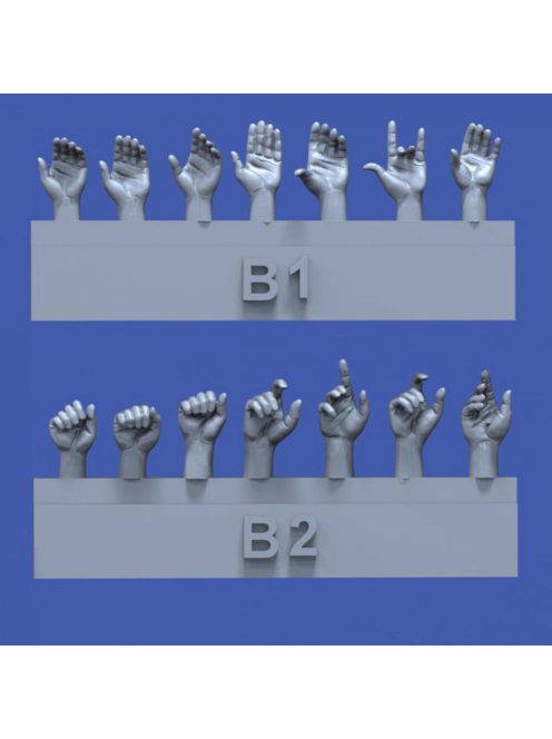 Royal Model - Assorted hands set No.2