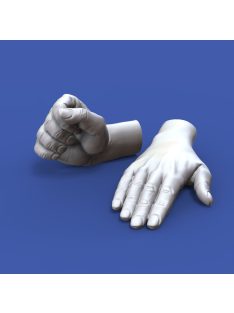 Royal Model - Assorted hands set No. 1