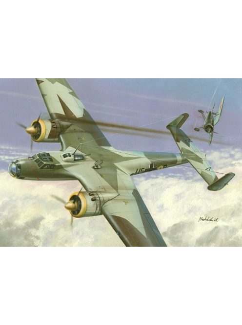 RS Models - 1/72 Dornier 17 M Poland 1939  - 2 decal v. for Luftwaffe, Romania
