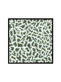 Scale Motorsport - Giraffe/Lizard Hide Animal Patter